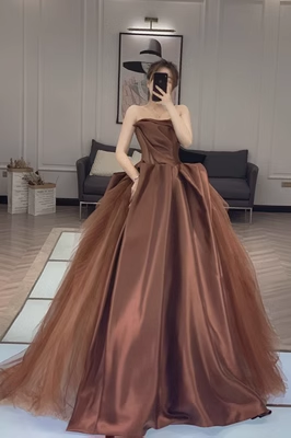 Ball Gown Strapless Sleeveless Tulle Brown Long Prom Dress P562